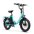 Aipas® A4 Gentry Ebike